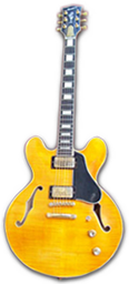 Custom Bacorn Electric Guitars