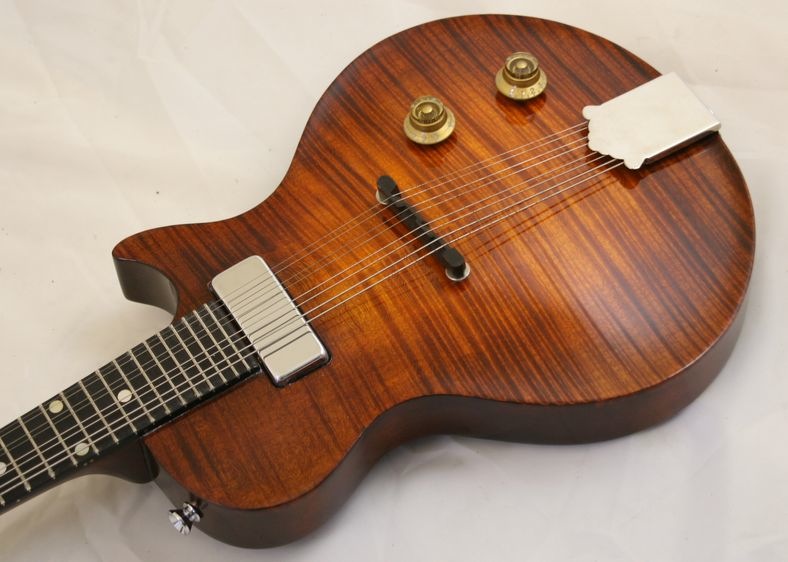 Bacorn electric mandolin Mandolin, Guitar, Dulcimer