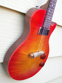 Cherry Sunburst 5 String Mandolin body