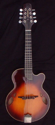 8 String Mandolin