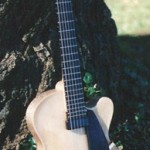 bw-906-custom-archtop-guitar