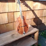 custom-mandolin-sun