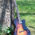 jh-906-custom-archtop-guitar-leaning-tree